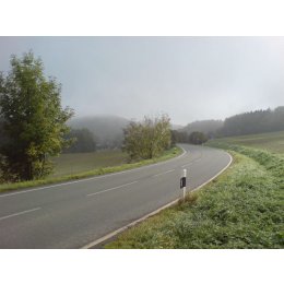 die strasse