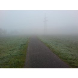 nebel